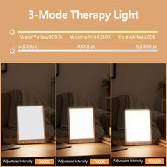 Beamhaus three-color touch controls offer customizable daylight ambiance.