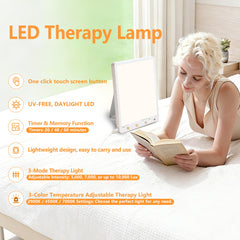 Beamhaus full-spectrum lamp emulates daylight for steady indoor brightness.