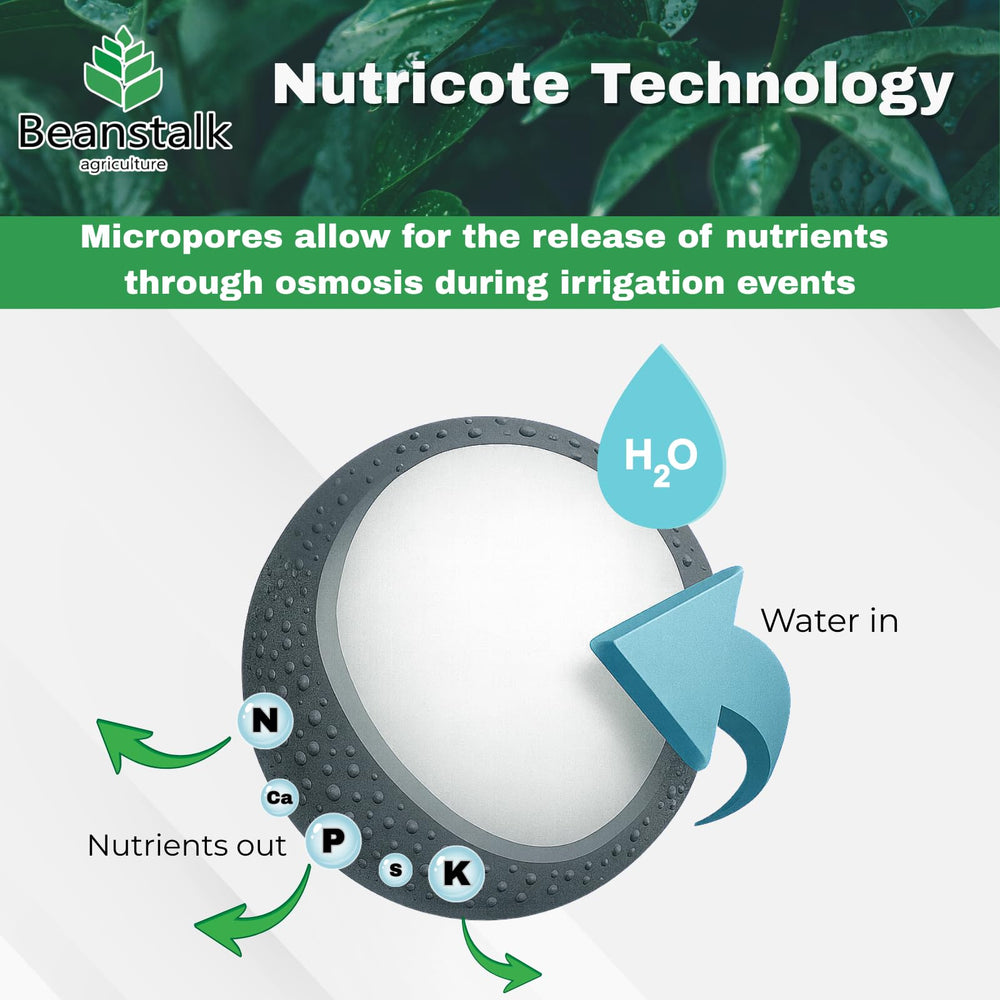 Fortify used in hydroponics and soil for versatile growth