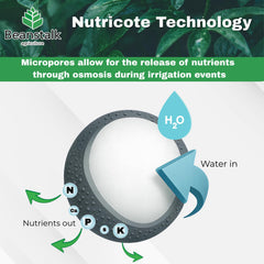 Fortify used in hydroponics and soil for versatile growth