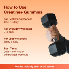 Bear Balanced lifestyle scene with gym bag and water for daily use.