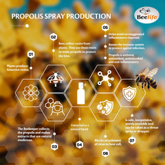 Beelife Propolis Throat Spray Brazilian green propolis label highlighting quality origin.