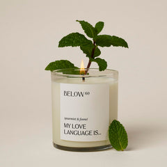 Below 60 spearmint fennel candle offers a soothing aroma for any room