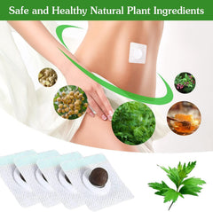BENJEN wormwood pill 90pcs compact bottle for on-the-go herbal wellness.