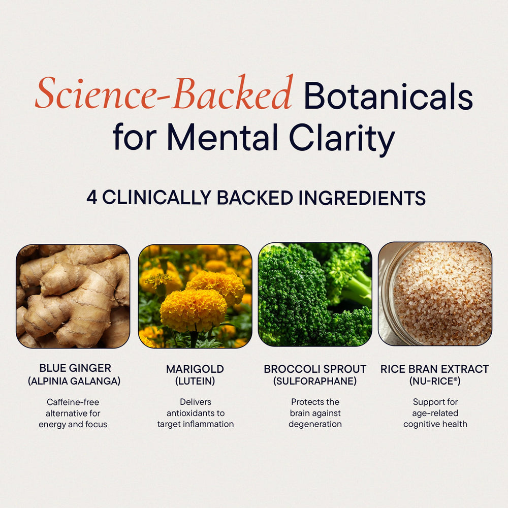 Blue ginger ingredient in Berkeley Life Cognitive Support signals cognitive vitality.