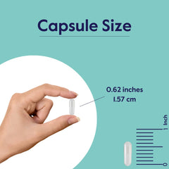 BESTVITE 7-Keto DHEA vegan formula in cleaner capsule presentation.