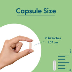 BESTVITE GMP-seal indicating quality manufacturing in the USA.