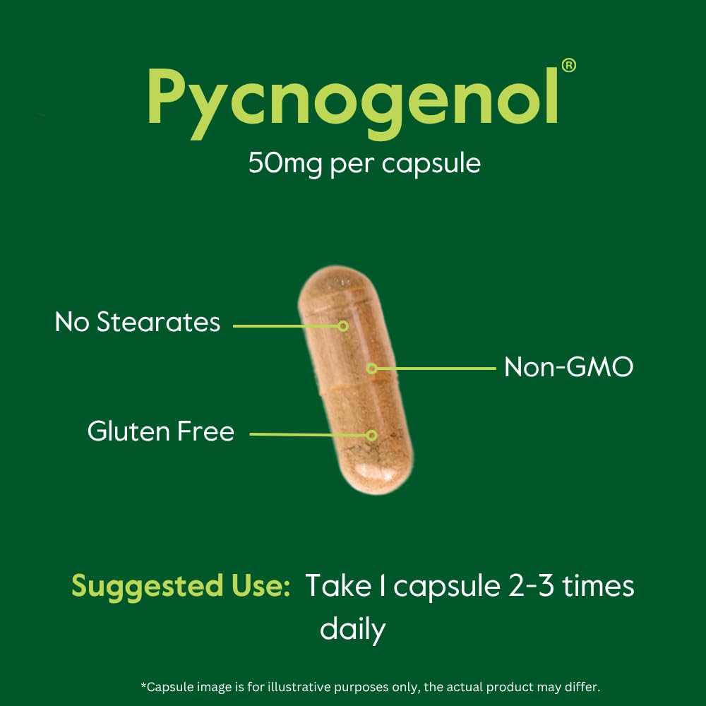 BESTVITE Pycnogenol 50mg bottle features GMP badge signaling quality manufacturing.