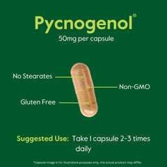 BESTVITE Pycnogenol 50mg bottle features GMP badge signaling quality manufacturing.