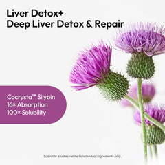 BIGVITA CoCrystal Liver Detox+ capsules with a glass of water highlighting glutathione boost.