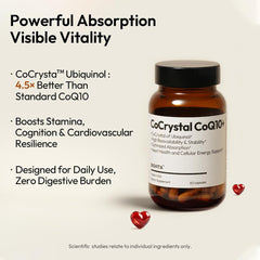 BIGVITA PQQ SOD bottle highlights antioxidant energy support