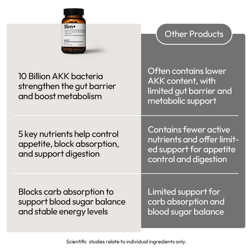 BIGVITA Slim+ gut health illustration with AKK probiotics and fiber, signaling gut-supporting potential.