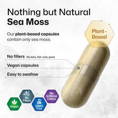 BIO KRAUTER sea moss capsules label detail highlights vegan cellulose.