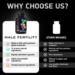 BIOACTIVE LABS saw palmetto capsules aid hormonal balance