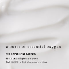 Bioelements Oxygen Boost Barrier Treatment ingredients include hydrogen peroxide and sea kelp.