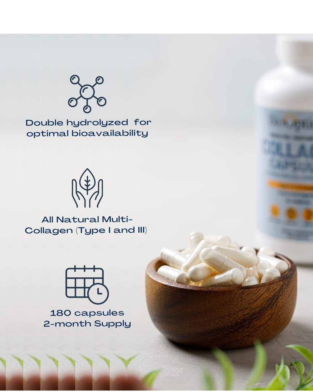 Grass-fed source graphic communicates natural pasture-raised ingredients for trusted protein.