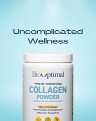 BioOptimal Collagen Peptides scoop with powder ready for easy mixing into drinks.