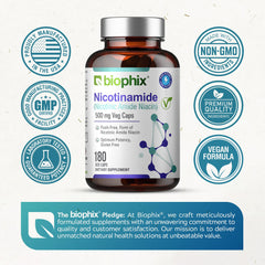 Biophix B-3 nicotinamide dosage guide illustrating daily use.