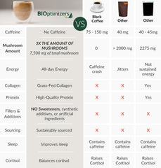 BIOptimizers adaptogenic mushrooms sachet balancing daily stress and energy.
