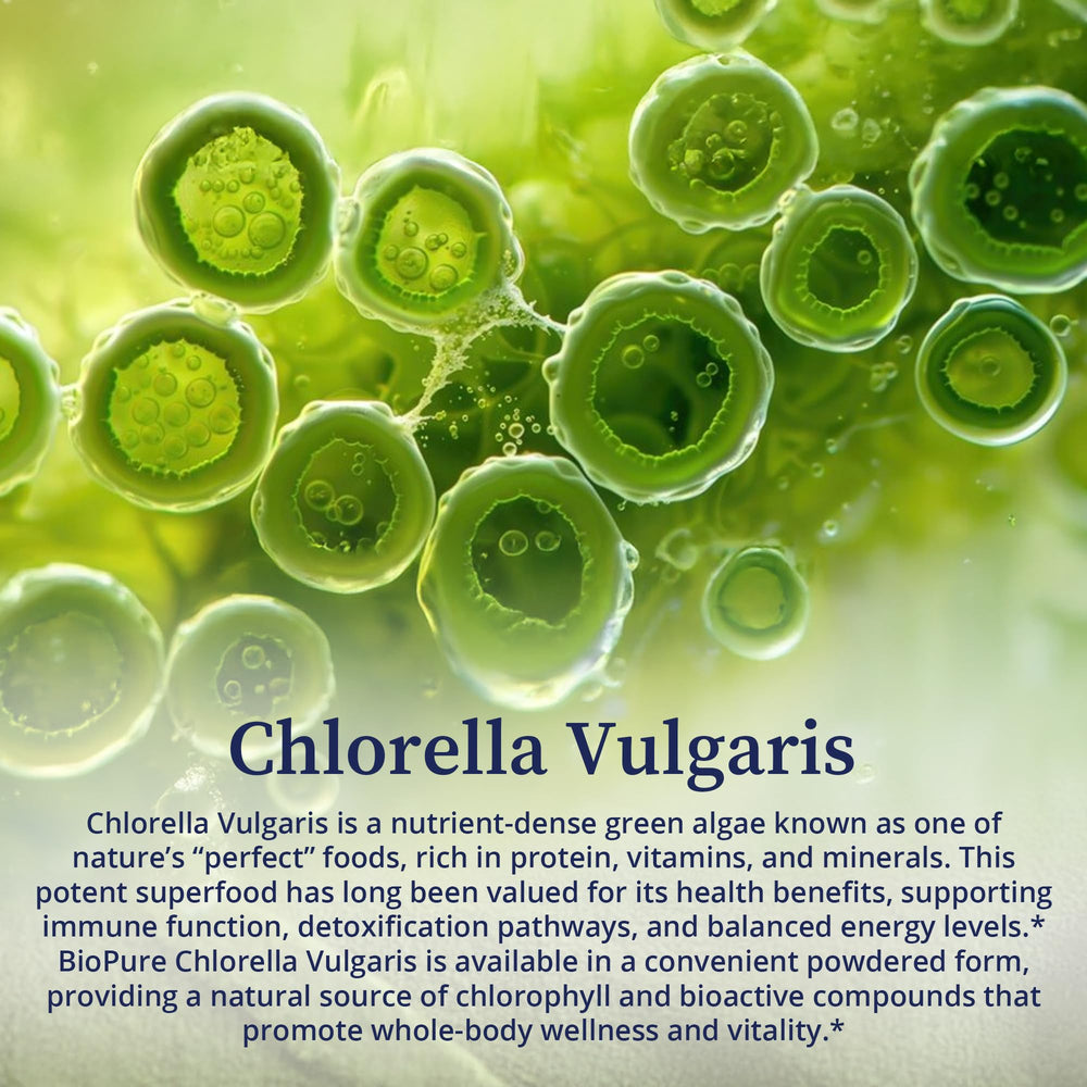 BioPure Chlorella vulgaris powder dissolved in water for a gentle beverage.