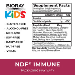 BIORAY Kids NDF Immune Blueberry front view highlights kid-friendly, non-GMO formula.
