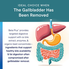 Biotics Research Beta-Plus pancrelipase enzyme supports fat digestion potential.