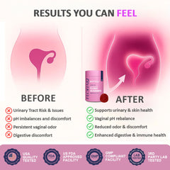 Biotics2 Flora12 herbal extracts blend with wild yam and saw palmetto.
