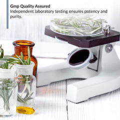 BioTrust OmegaKrill daily dose imagery showing three-softgel regimen.