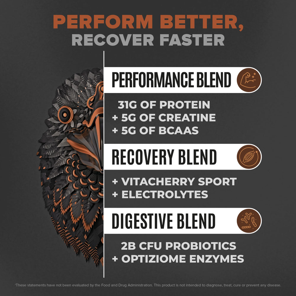 Birdman Falcon Performance protein powder scoop ready to mix for post-workout recovery.