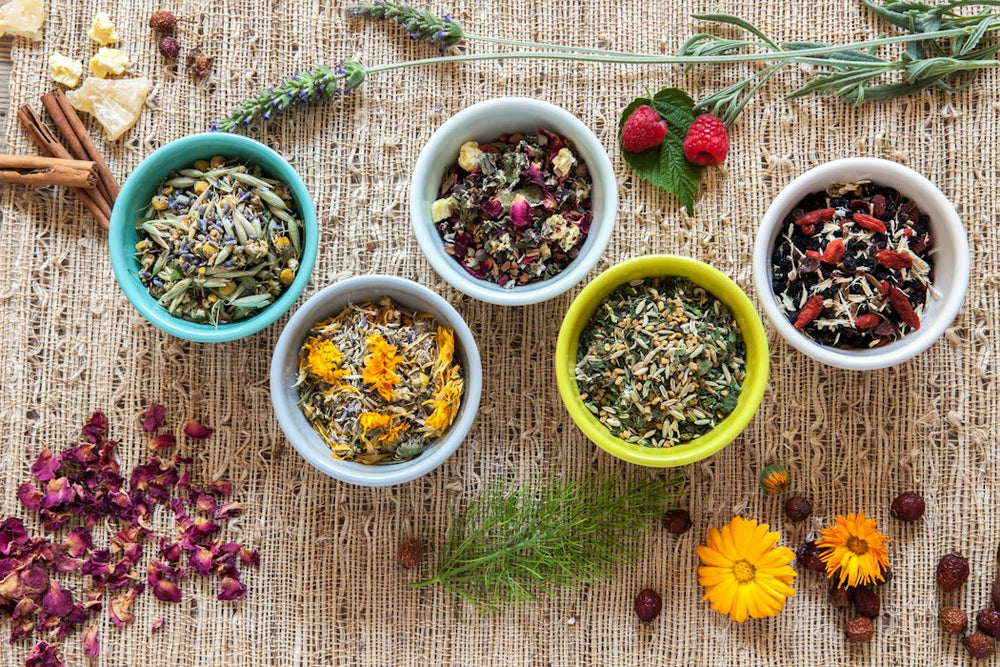 Birds & Bees Teas organic herbs blend label highlights elderberry astragalus and rosehips.