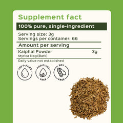 Close-up of Bixa Botanical Bayberry Powder jar highlighting vegan-friendly quality.