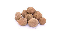 bixa BOTANICAL Bibhitaki powder natural ingredients graphic