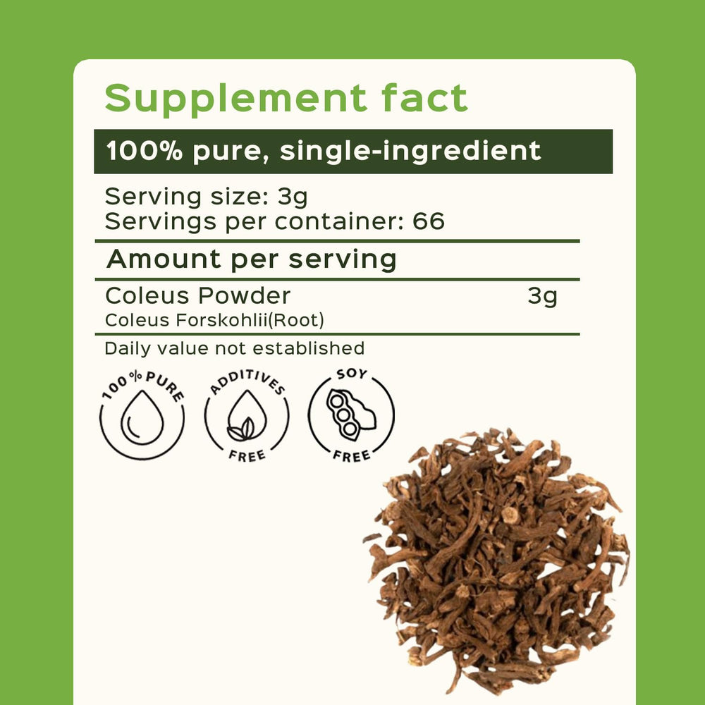 Bixa Botanical Coleus Forskohlii root powder measuring scoop for precise portions.