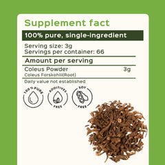 Bixa Botanical Coleus Forskohlii root powder measuring scoop for precise portions.