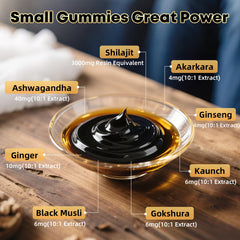 BIYODE Shilajit Gummies labeled no added sugar for clean nutrition.
