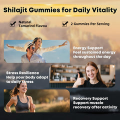 BIYODE Shilajit Gummies ideal two-per-day serving for daily routine.
