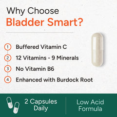 Burdock root illustration indicating added wellness support without harsh additives.