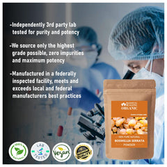 Blessfull Healing Boswellia Serrata powder in bottle closeup for easy visibility.