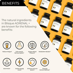 Blisque Adrenal+ herbal blend close-up highlights ashwagandha and rhodiola for stress response.