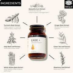 Blisque EASE + turmeric curcumin image emphasizes anti-inflammatory blend