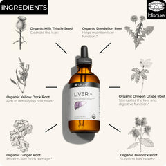 Blisque LIVER+ milk thistle ingredient showcase for herbal support.