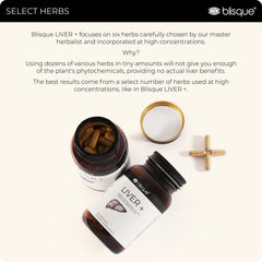 Blisque LIVER+ ingredient yellow dock close-up showcasing herbal components.