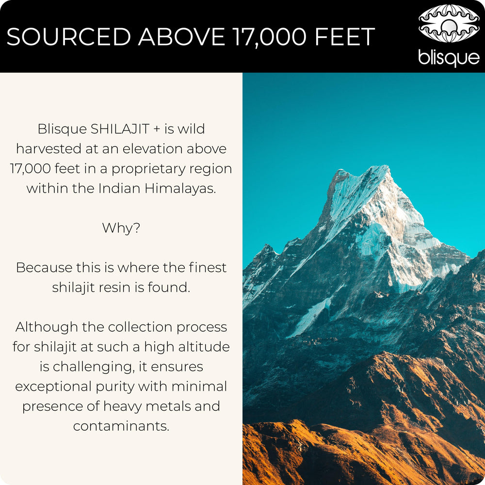 Blisque Shilajit resin origin visual shows Himalaya sourcing.
