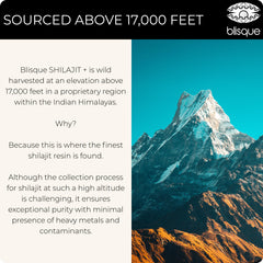 Blisque Shilajit resin origin visual shows Himalaya sourcing.
