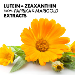 Bluebonnet Zeaxanthin & Lutein packaging display for shelf appeal