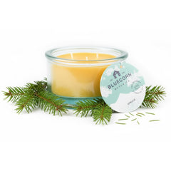 Bluecorn Beeswax 3-Wick Candle in spruce jar for a clean evergreen scent in a cozy room