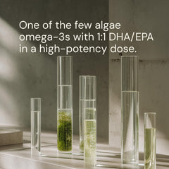 Blueprint Bryan Johnson Omega-3 delayed-release capsules for smoother digestion.
