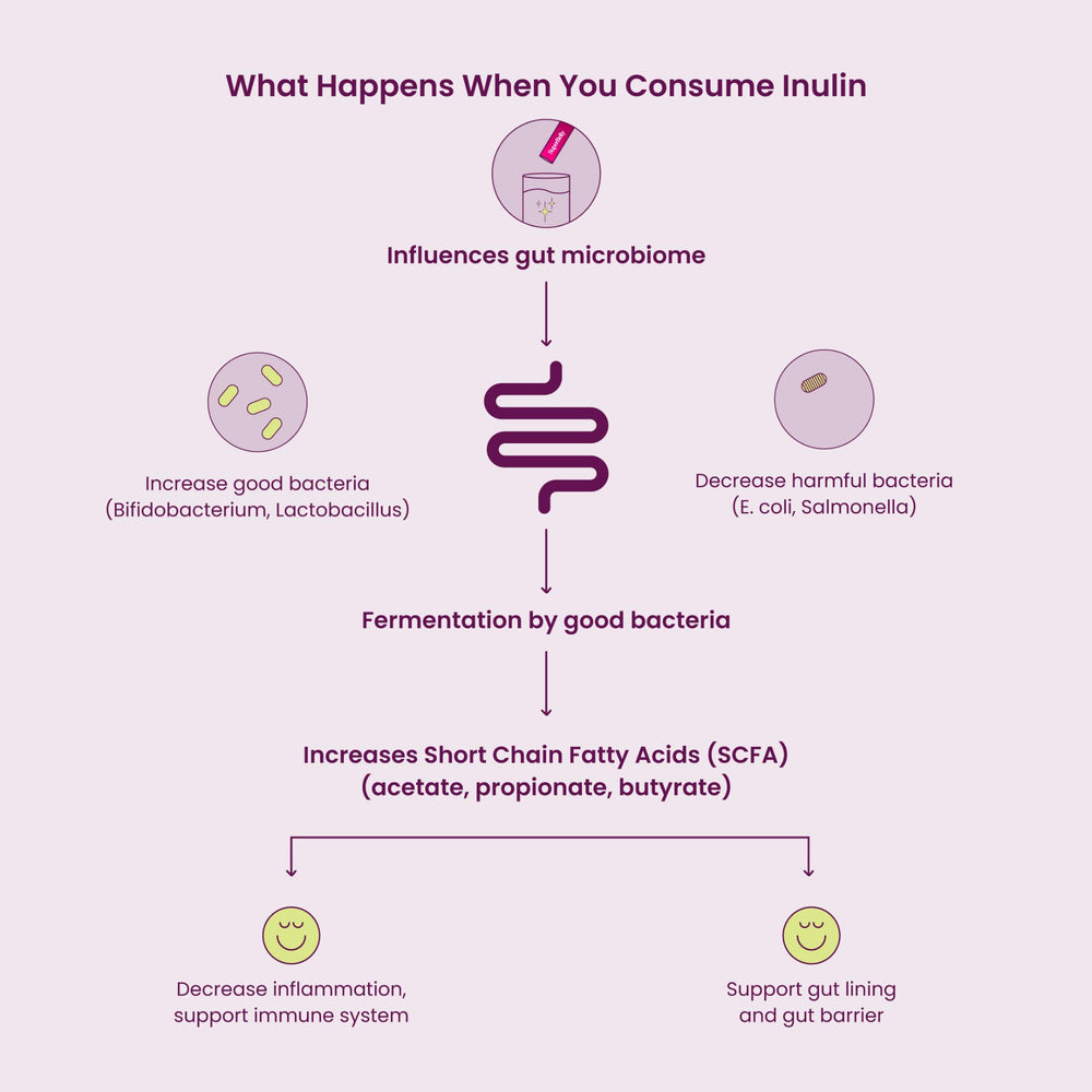 Blume SuperBelly made in Canada, quality ingredients for gut health