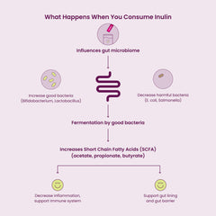 Blume SuperBelly made in Canada, quality ingredients for gut health