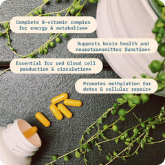 BodyBio Vitamin B+ emphasizes immune support, brain function, and energy benefits